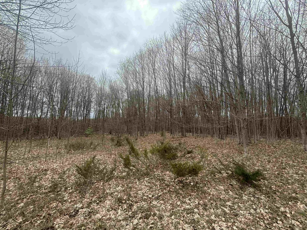 Kilkenny Lane Banks Township, MI 49729