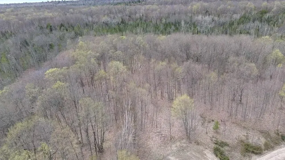 Kilkenny Lane Banks Township, MI 49729