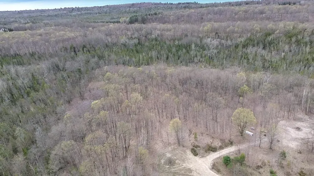 Kilkenny Lane Banks Township, MI 49729
