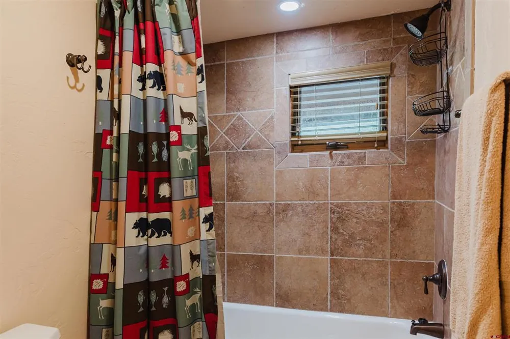 502 S 5th Street #C-3 Pagosa Springs, CO 81147