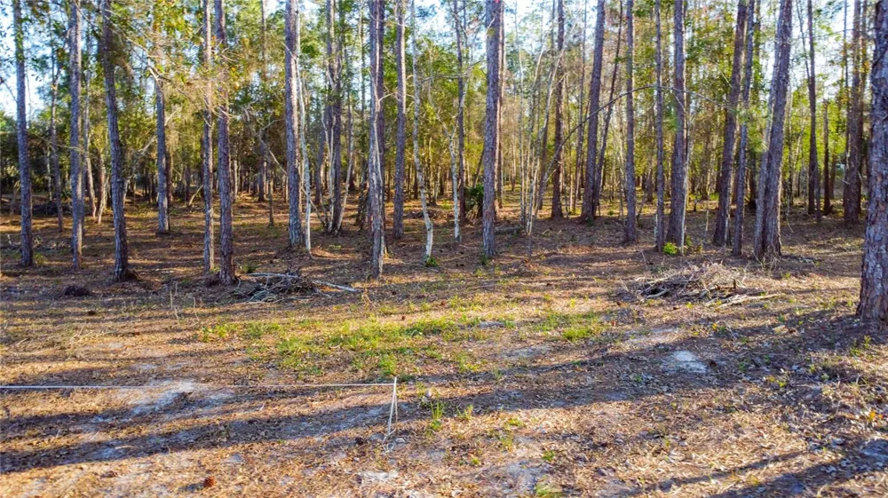 0 STATE ROAD 33 Clermont, FL 34714