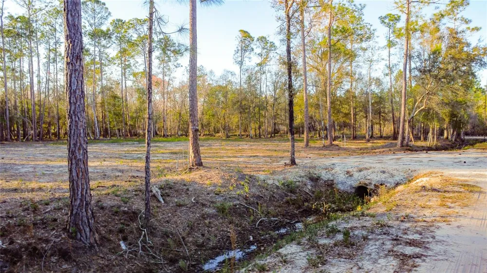 0 STATE ROAD 33 Clermont, FL 34714