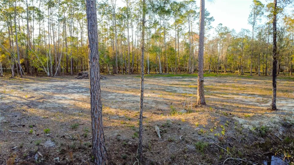 0 STATE ROAD 33 Clermont, FL 34714