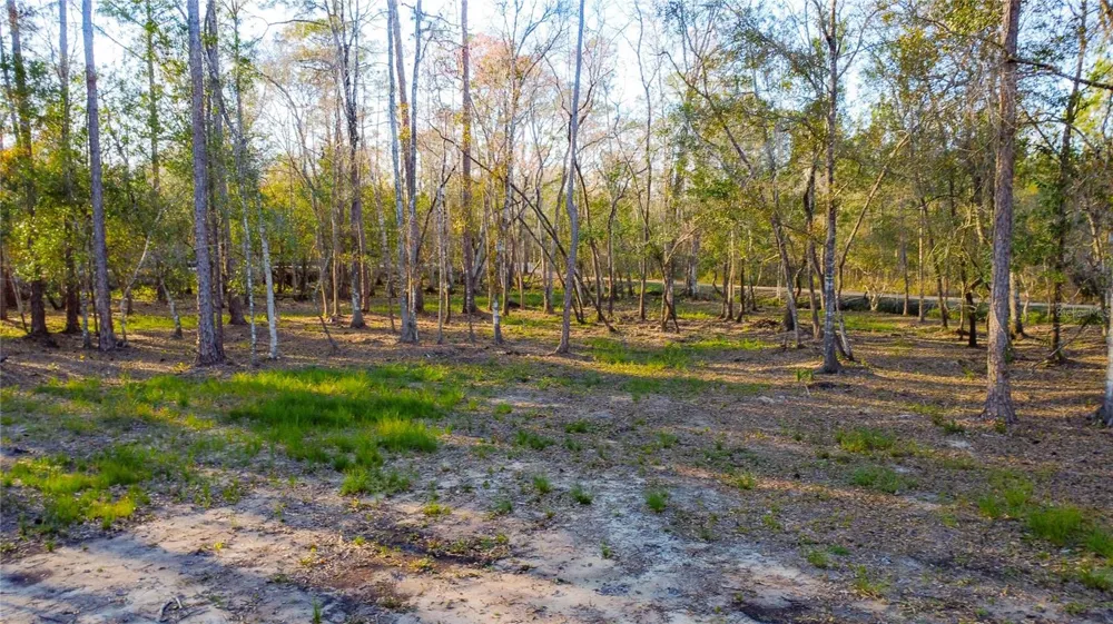 0 STATE ROAD 33 Clermont, FL 34714
