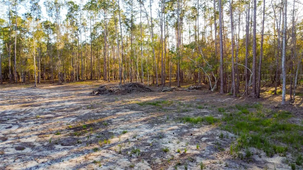 0 STATE ROAD 33 Clermont, FL 34714
