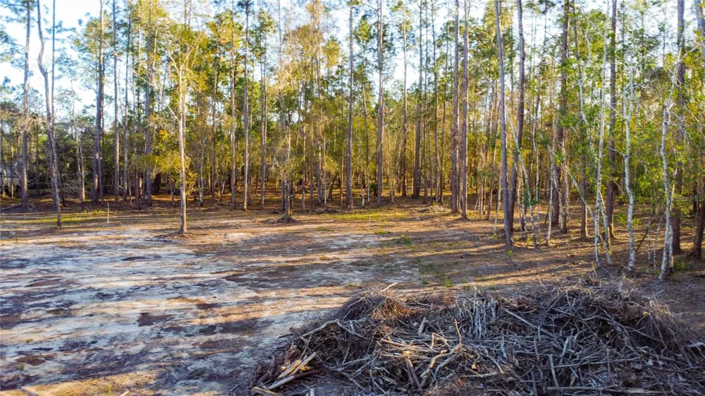 0 STATE ROAD 33 Clermont, FL 34714