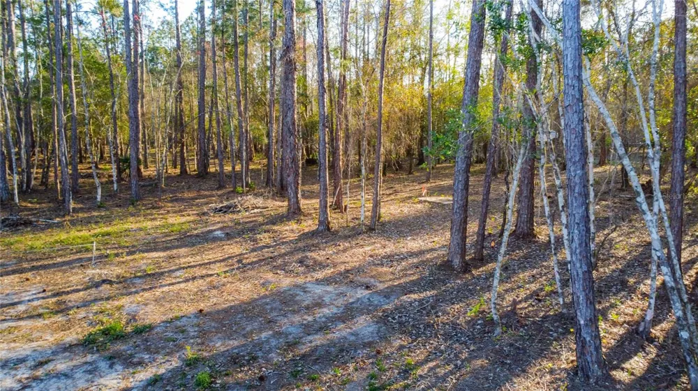 0 STATE ROAD 33 Clermont, FL 34714