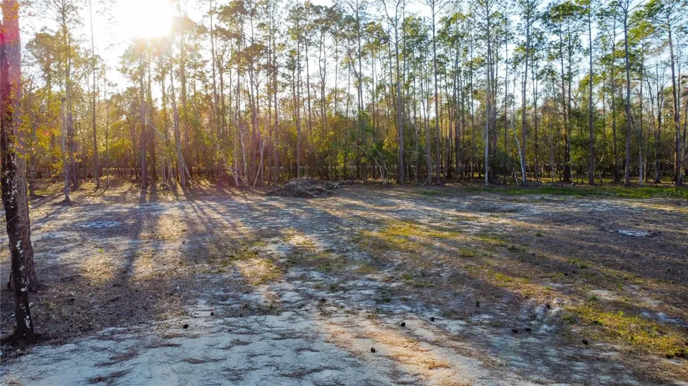 0 STATE ROAD 33 Clermont, FL 34714