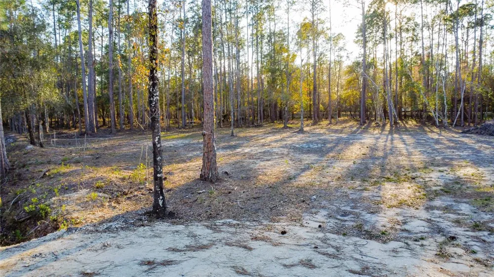 0 STATE ROAD 33 Clermont, FL 34714