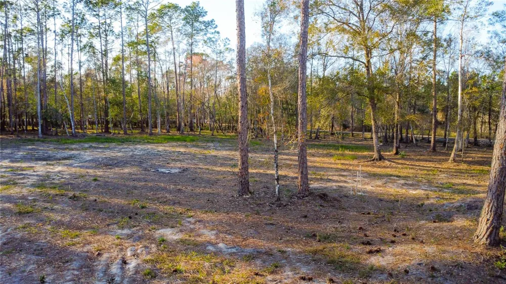 0 STATE ROAD 33 Clermont, FL 34714
