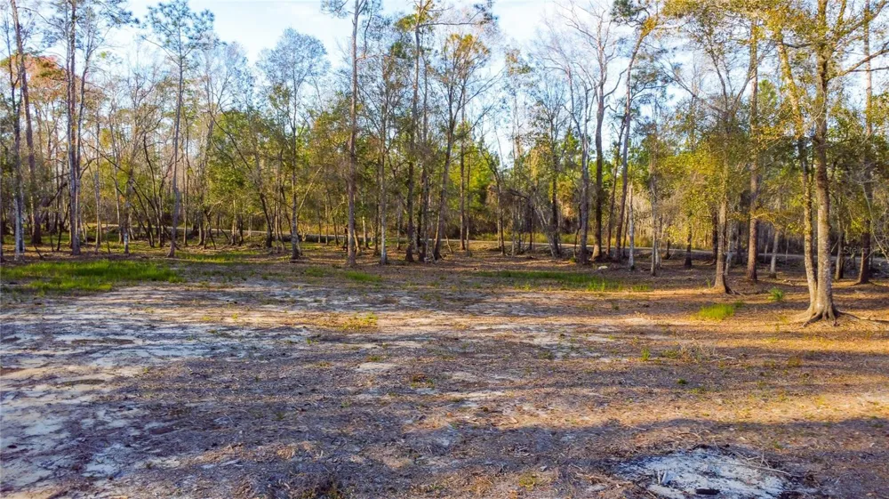 0 STATE ROAD 33 Clermont, FL 34714
