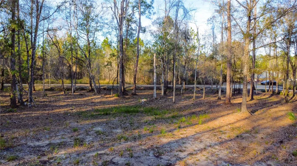 0 STATE ROAD 33 Clermont, FL 34714