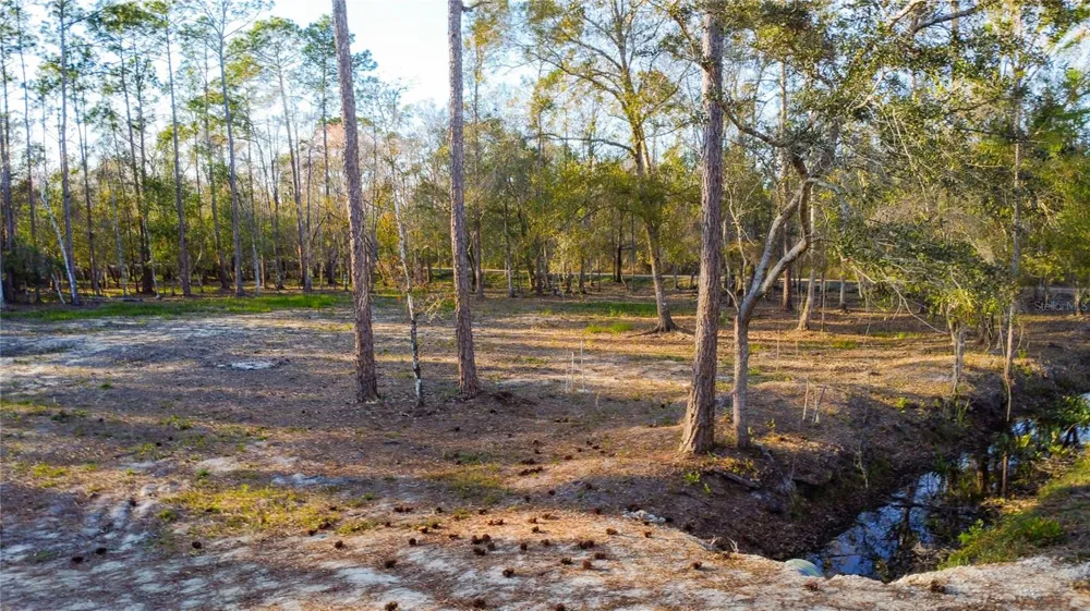 0 STATE ROAD 33 Clermont, FL 34714