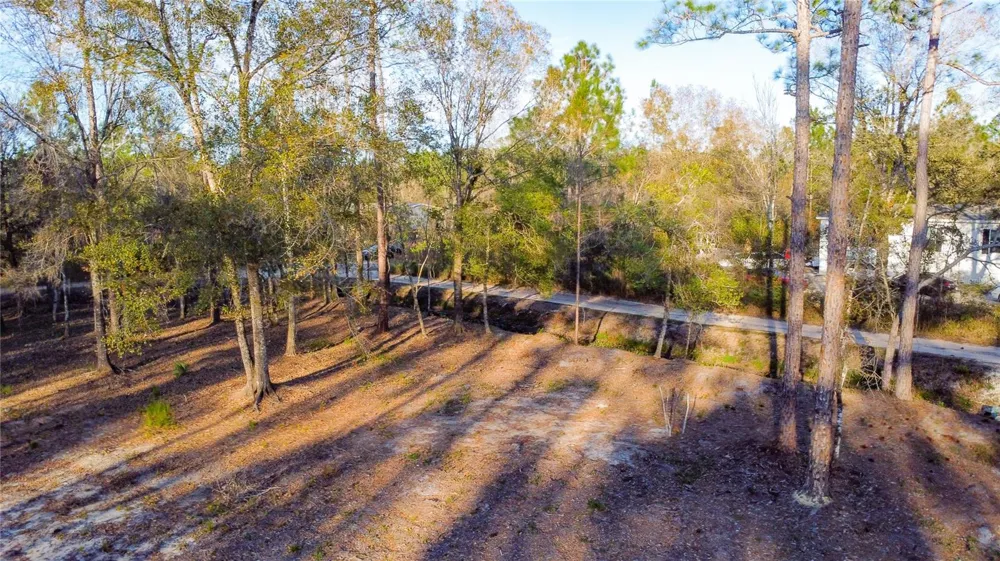 0 STATE ROAD 33 Clermont, FL 34714