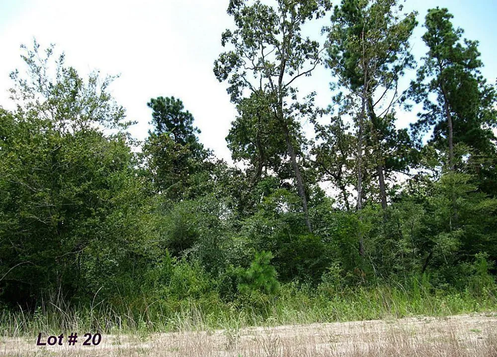 141 Kings Lake Estates Boulevard Humble, TX 77346