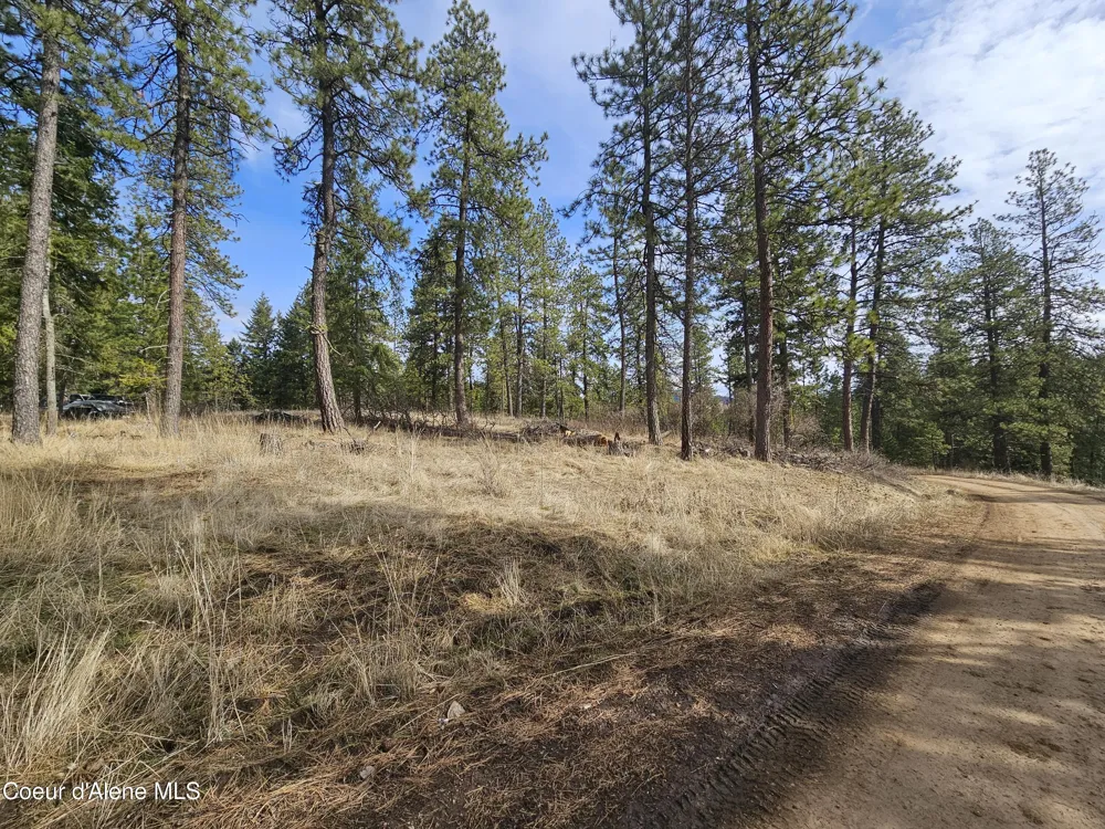 2252 E Badger Road Harrison, ID 83833