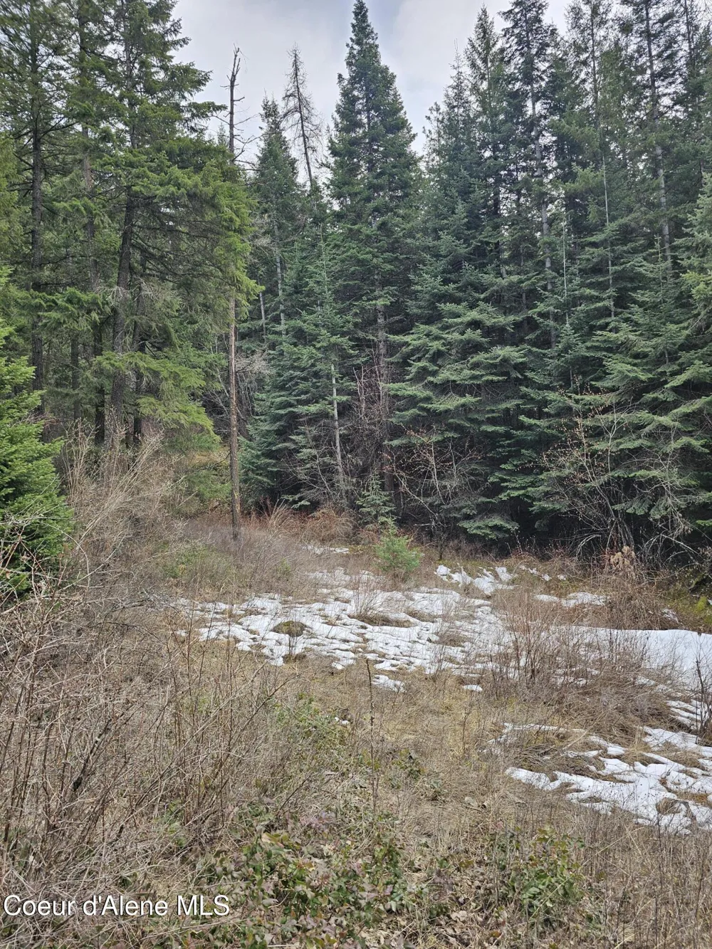 2252 E Badger Road Harrison, ID 83833
