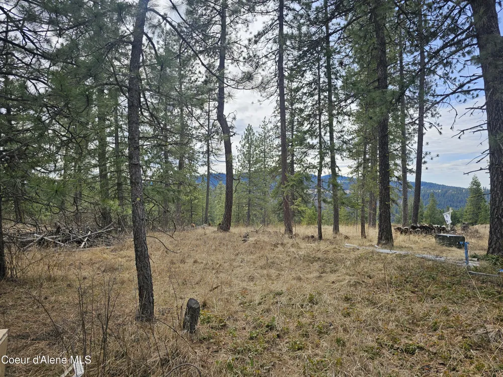 2252 E Badger Road Harrison, ID 83833
