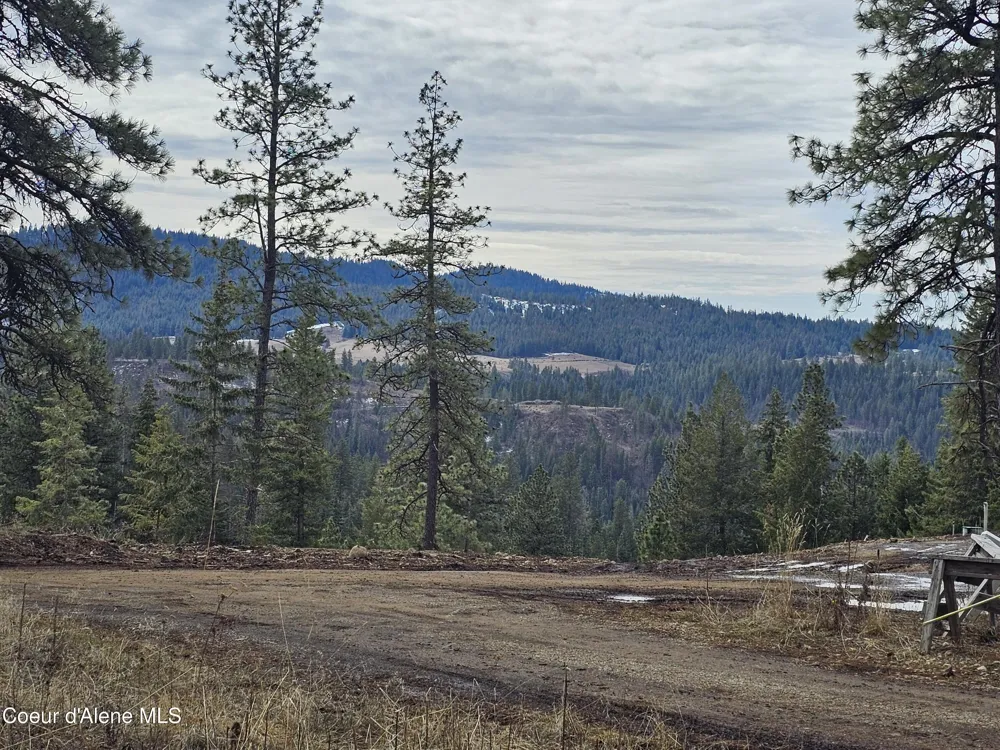 2252 E Badger Road Harrison, ID 83833