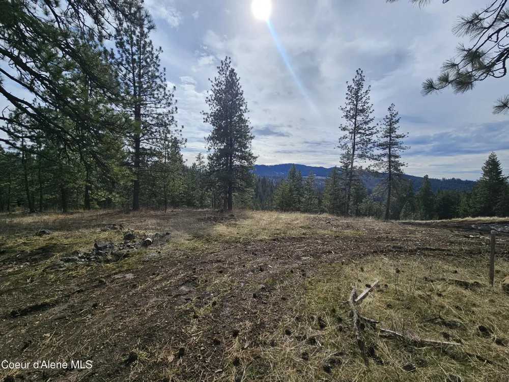 2252 E Badger Road Harrison, ID 83833