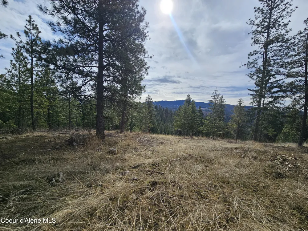 2252 E Badger Road Harrison, ID 83833