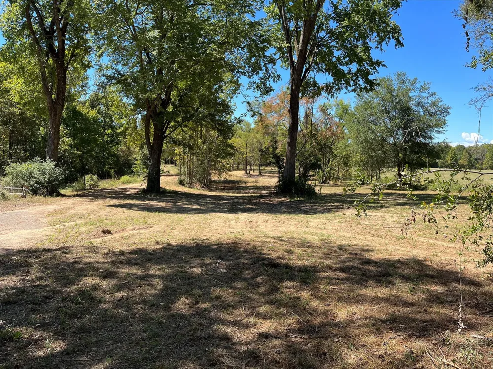 5604 County Road 364 10 Acres Buffalo, TX 75831