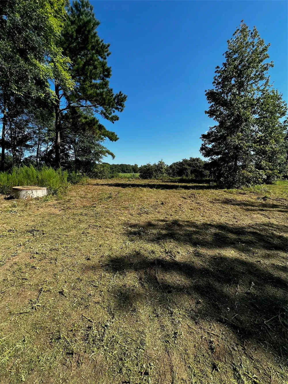 5604 County Road 364 10 Acres Buffalo, TX 75831
