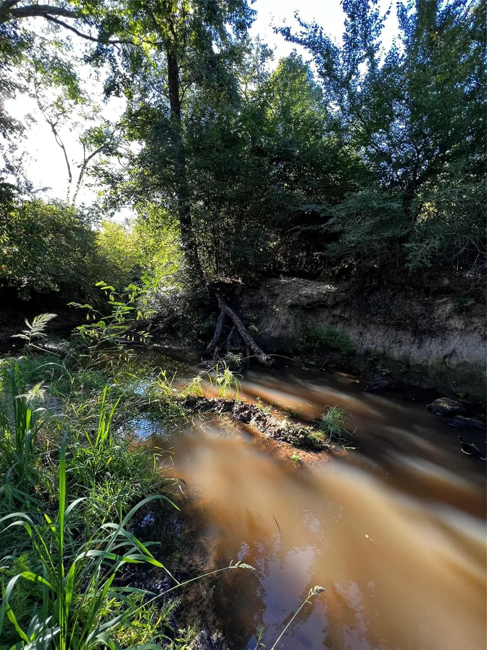 5604 County Road 364 10 Acres Buffalo, TX 75831