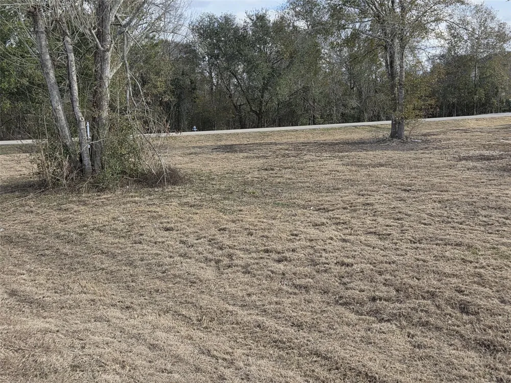 Texas Avenue Arcola, TX 77583