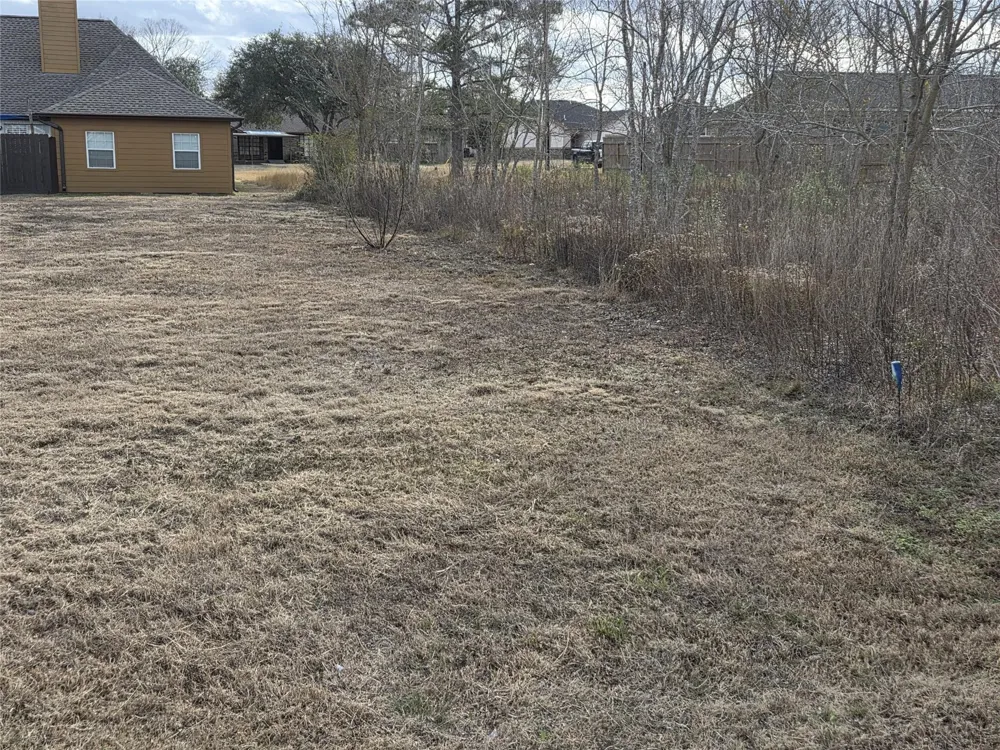 Texas Avenue Arcola, TX 77583