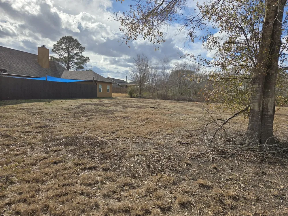 Texas Avenue Arcola, TX 77583