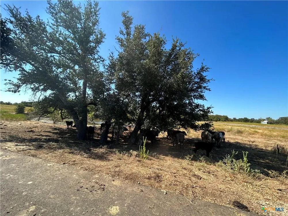 Waggener Ranch Road Copperas Cove, TX 76522
