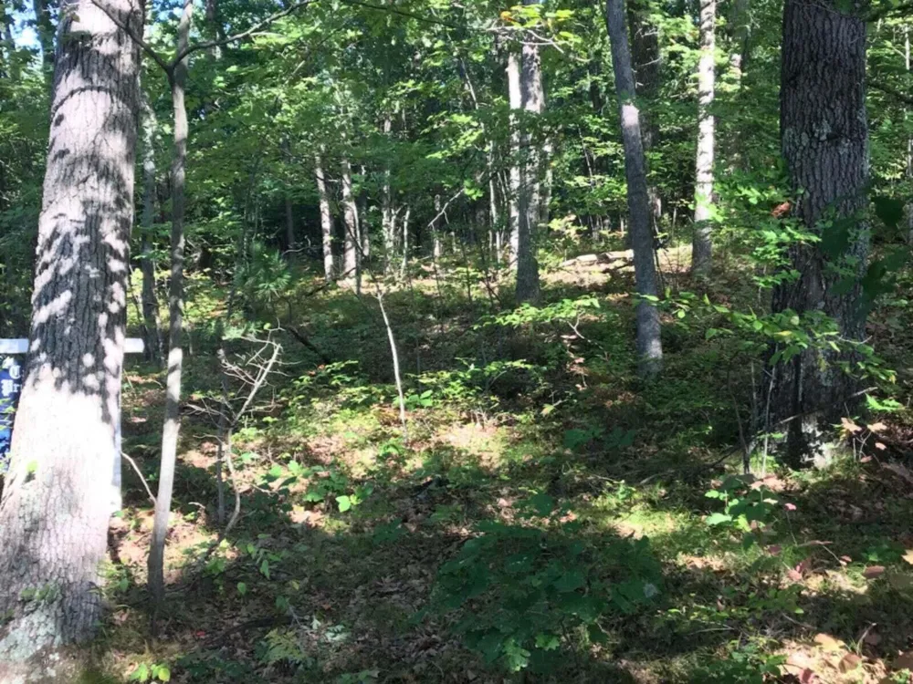 E Woodlawn Avenue Newaygo, MI 49337