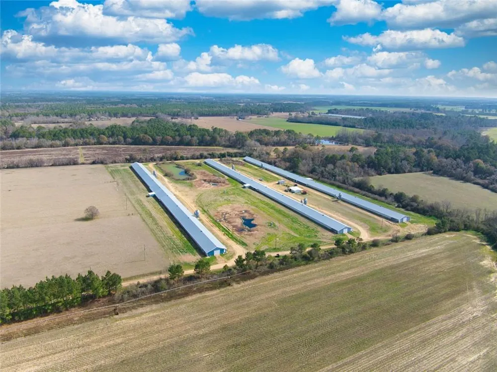 441 Weaver Road Moultrie, GA 31768