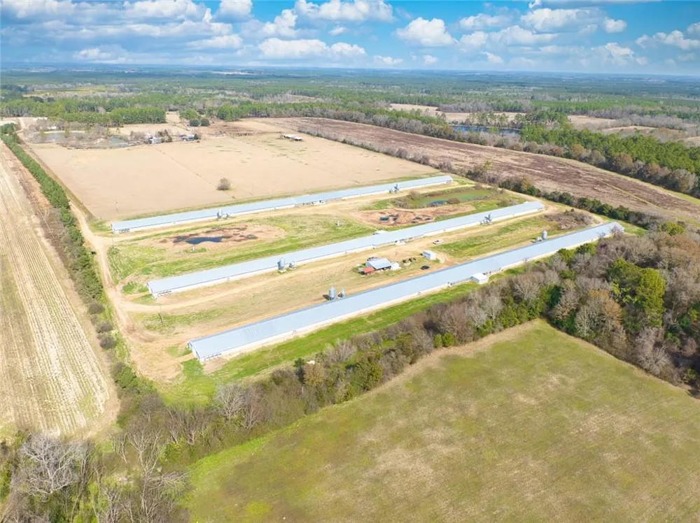 441 Weaver Road Moultrie, GA 31768
