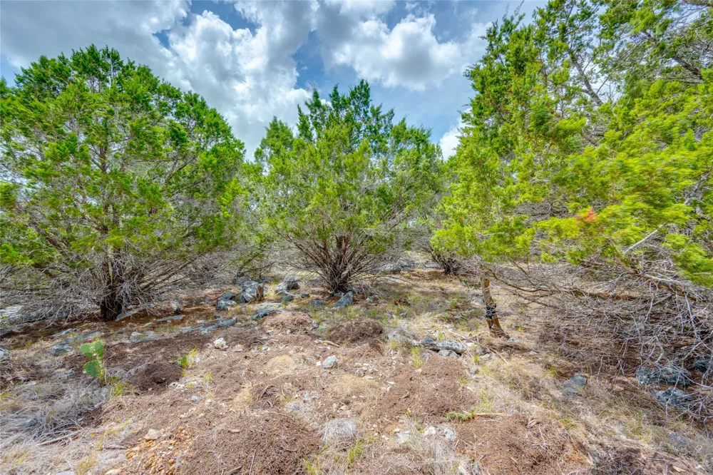 328 Valley Landing New Braunfels, TX 78132
