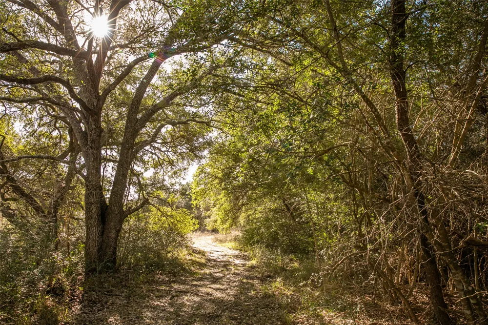 11107 Mt Falls School Road Washington, TX 77880