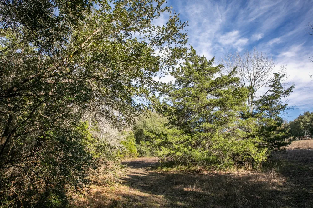 11107 Mt Falls School Road Washington, TX 77880