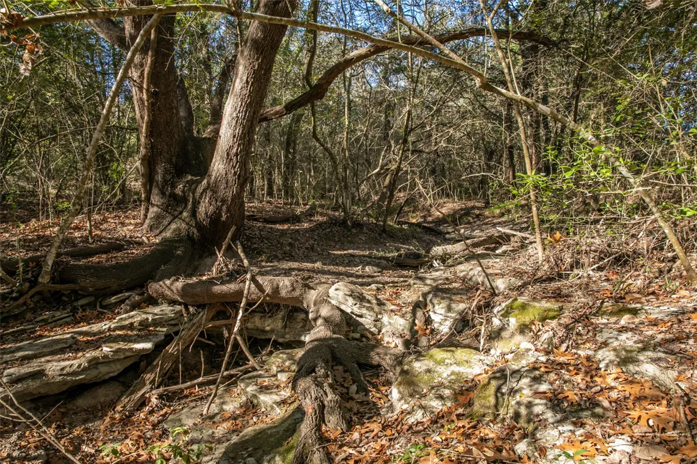 11107 Mt Falls School Road Washington, TX 77880