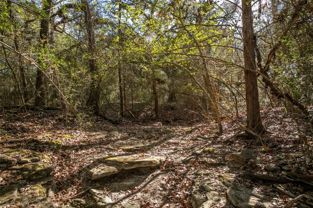 11107 Mt Falls School Road Washington, TX 77880