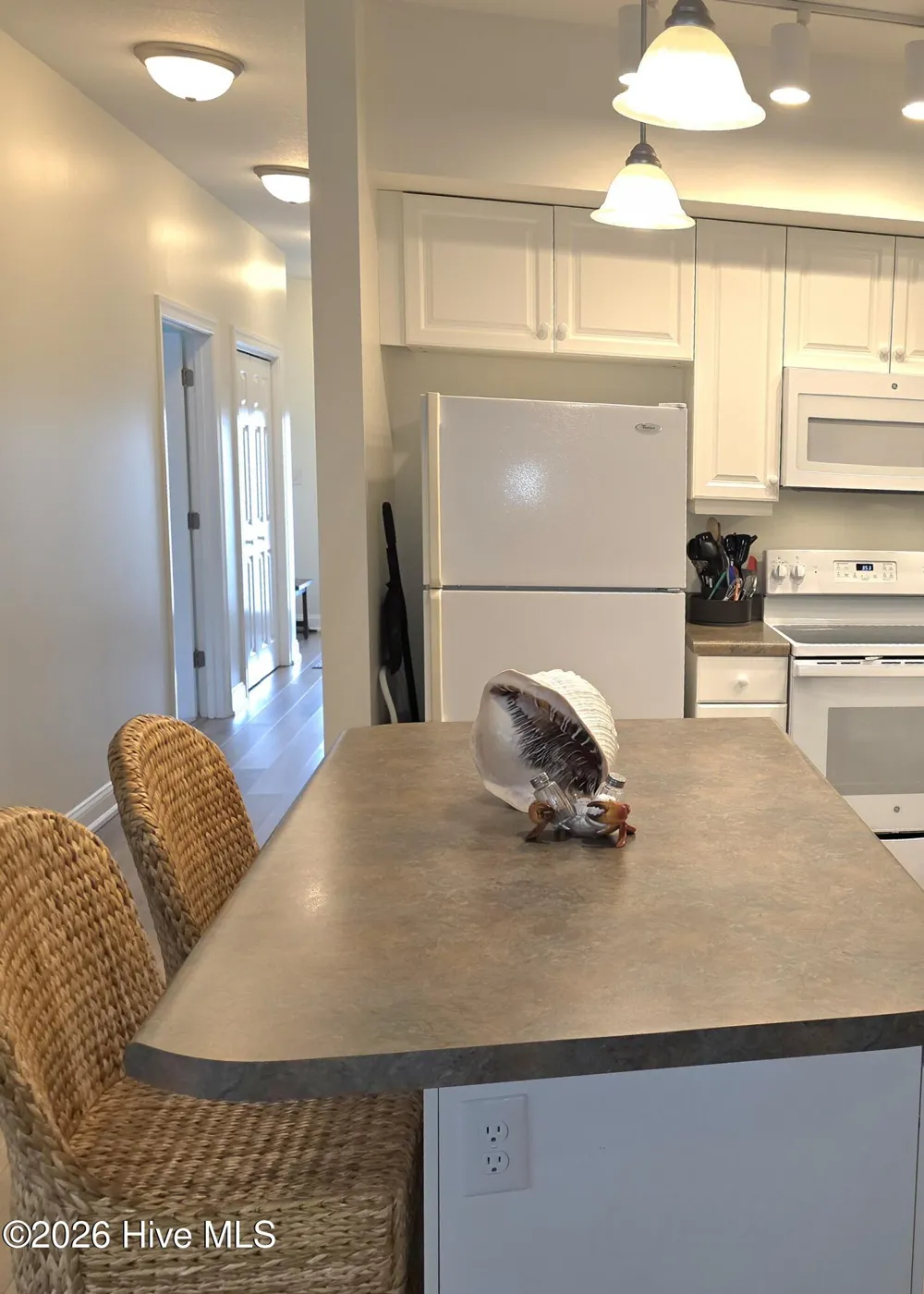 100 Lighthouse Lane #D3 Cedar Point, NC 28584
