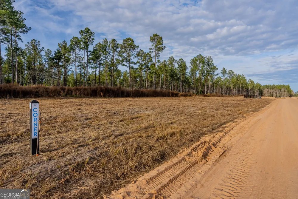 LOT 4 Arcola RD Brooklet, GA 30415