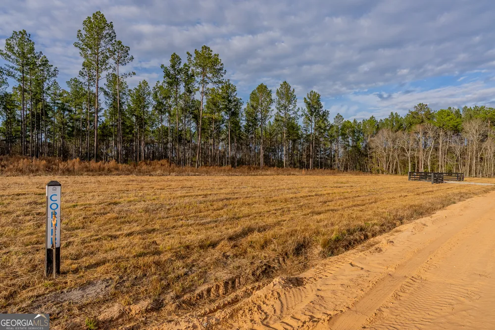 LOT 6 Arcola RD Brooklet, GA 30415