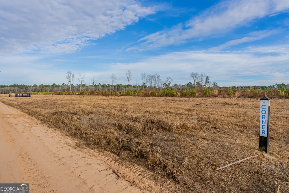 LOT 10 Arcola RD Brooklet, GA 30415