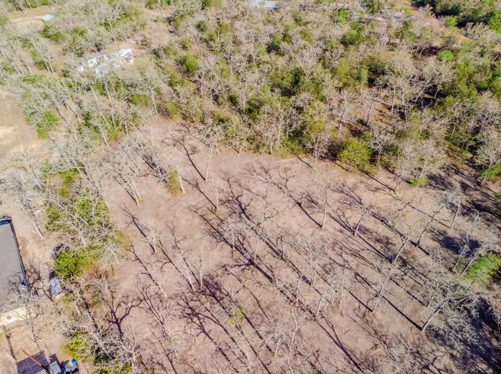 211 Forest Oak Drive Somerville, TX 77879