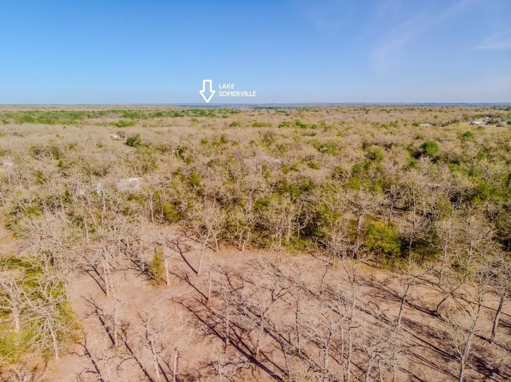 211 Forest Oak Drive Somerville, TX 77879