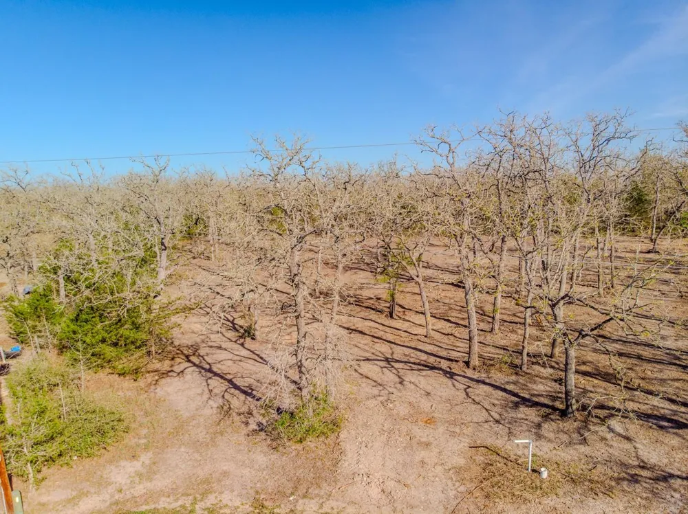 211 Forest Oak Drive Somerville, TX 77879