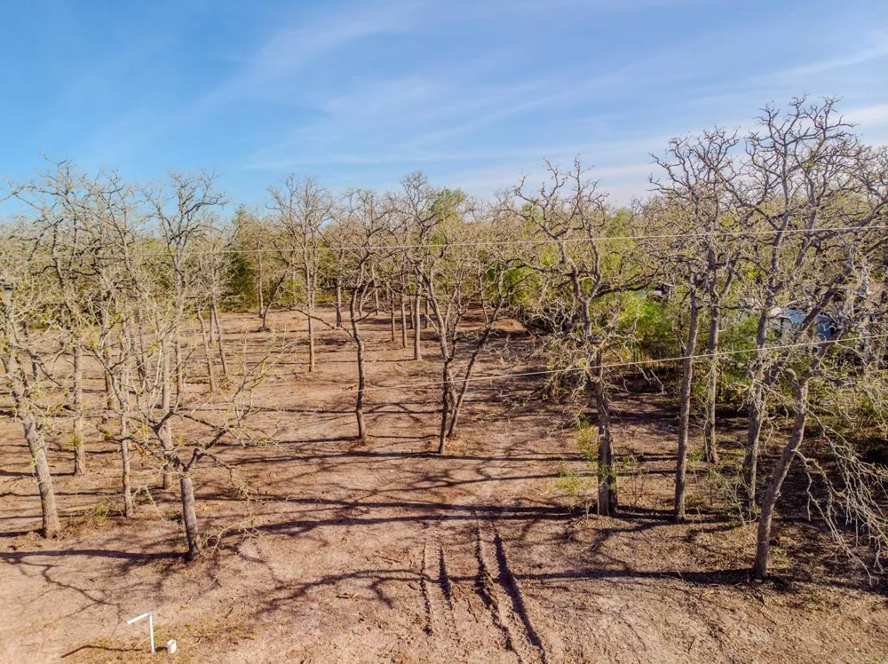 211 Forest Oak Drive Somerville, TX 77879