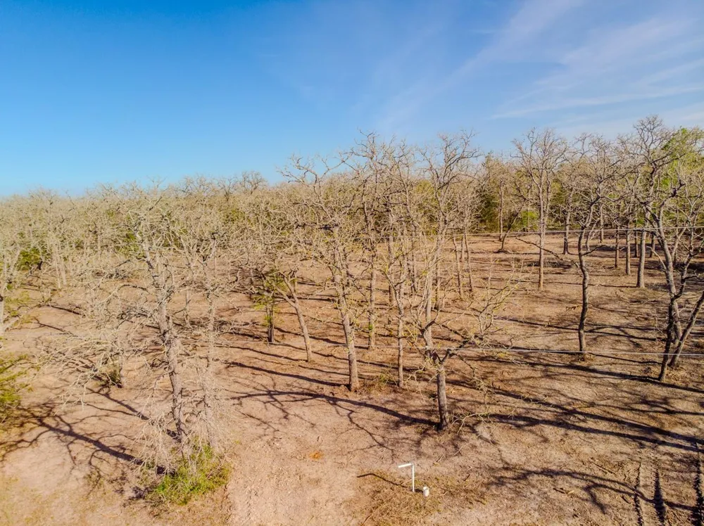211 Forest Oak Drive Somerville, TX 77879