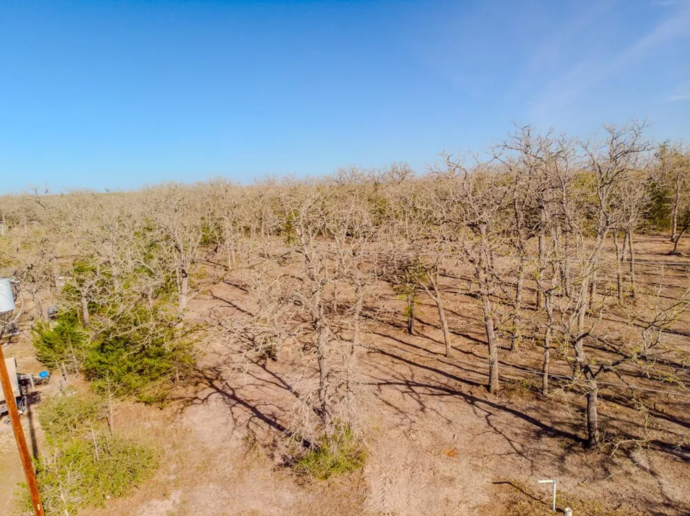 211 Forest Oak Drive Somerville, TX 77879